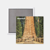 Mooie Sequoia magneet! Magneet (Voorkant / Achterkant)
