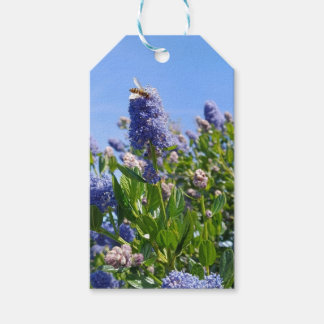Mooie seringen cadeaukaartjes cadeaulabel