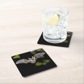 Mooie set Onderzetters (Insitu)