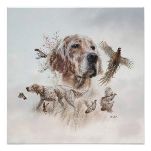 Mooie Setter, Kunst Perfect Poster