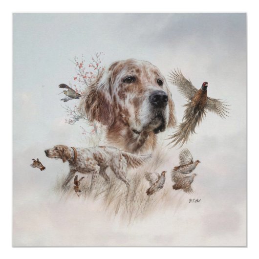 Mooie Setter, Kunst Perfect Poster (Voorkant)