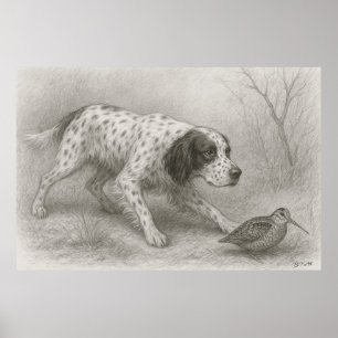 Mooie setter, kunst poster
