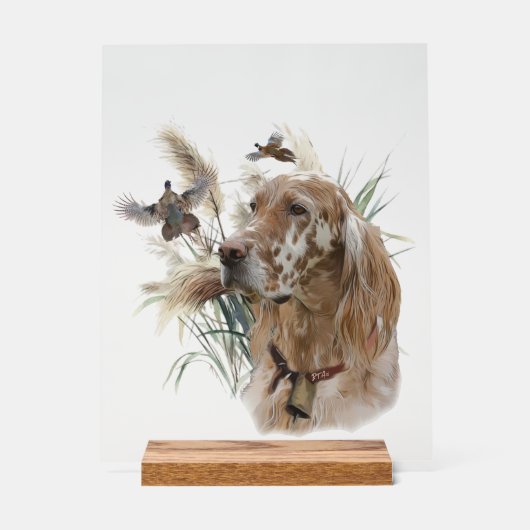 Mooie Setter met Fazanten, Kunst Acryl Bord (Voorkant)