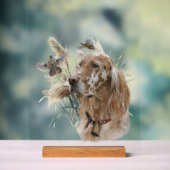 Mooie Setter met Fazanten, Kunst Acryl Bord (Neutraal)