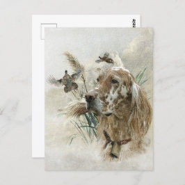 Mooie Setter met fazanten , Kunst Briefkaart