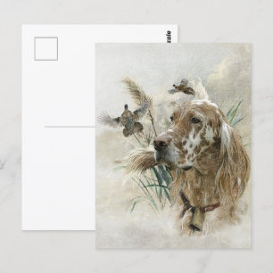 Mooie Setter met fazanten , Kunst Briefkaart