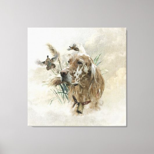 Mooie Setter met fazanten , Kunst Canvas Afdruk (Voorkant)