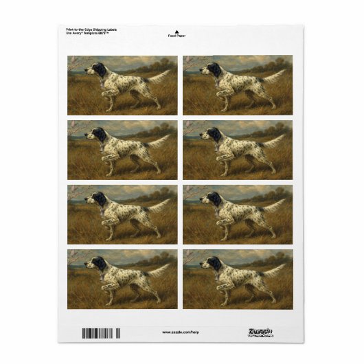 Mooie Setter met Fazanten, Kunst Etiket (Full Sheet)