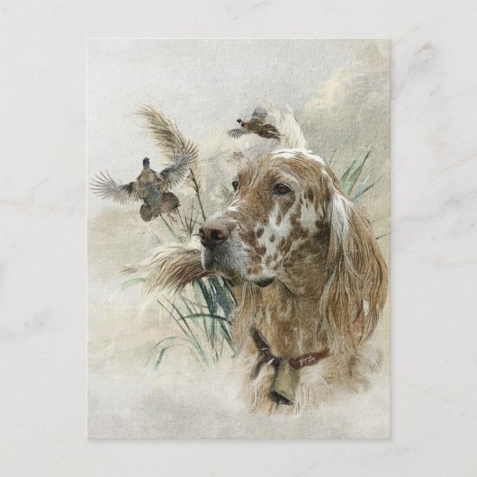 Mooie Setter met fazanten , Kunst Feestdagenkaart (Voorkant)