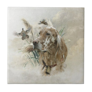 Mooie Setter met fazanten , Kunst Tegeltje