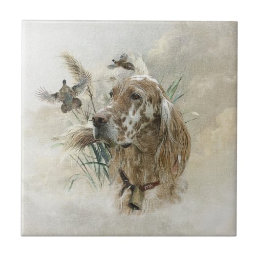 Mooie Setter met fazanten , Kunst Tegeltje (Voorkant)