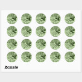 Mooie Shamrocks Ronde Sticker (Vel)