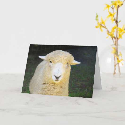 Mooie Sheep Happy Birthday Kaart (Gele Bloem)