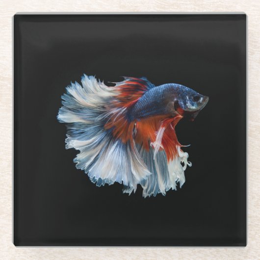 Mooie Siamese Betta Fish Glazen Onderzetter (Voorkant)