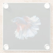 Mooie Siamese Betta Fish Glazen Onderzetter (Achterkant)