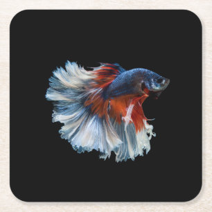 Mooie Siamese Betta Fish Kartonnen Onderzetters