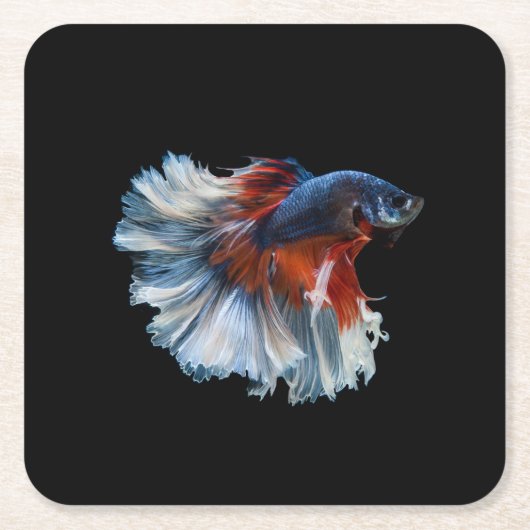 Mooie Siamese Betta Fish Kartonnen Onderzetters (Voorkant)