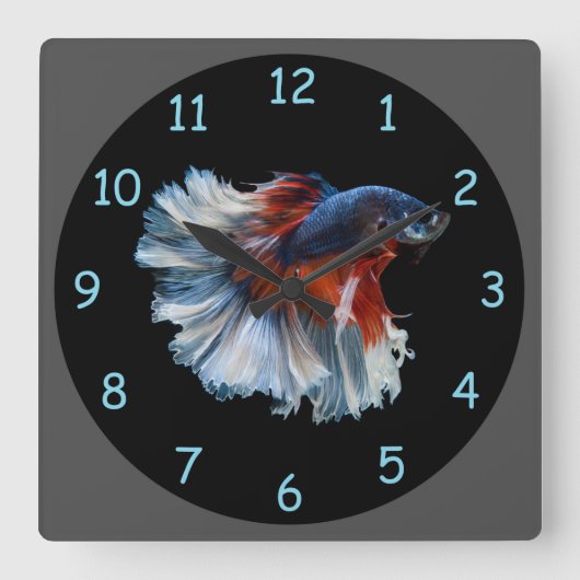 Mooie Siamese Betta Fish Vierkante Klok (Voorkant)
