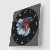 Mooie Siamese Betta Fish Vierkante Klok (Hoek)