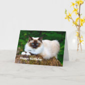 Mooie Siamese Cat Foto Verjaardag Kaart (Gele Bloem)