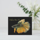 Mooie Siamese gevechtsvis Betta Halfmoon Briefkaart (Staand voorkant)