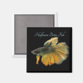 Mooie Siamese gevechtsvis Betta Halfmoon Magneet (Voorkant / Achterkant)