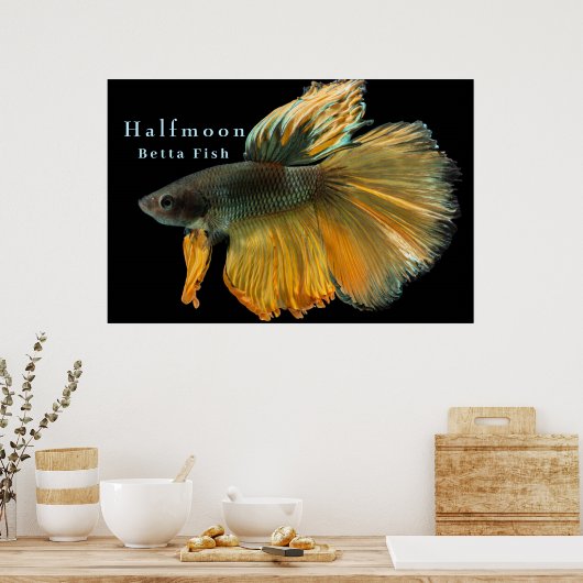 Mooie Siamese gevechtsvis Betta Halfmoon Poster (Keuken)