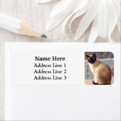 Mooie Siamese Kat Blauwe Ogen Retouradres Etiket (Insitu)