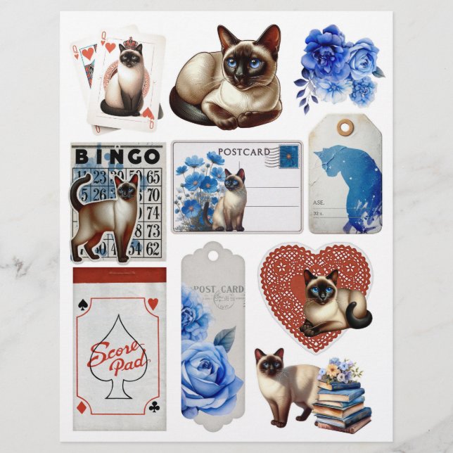 Mooie Siamese Kat  Ephemera (Voorkant)