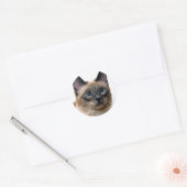 Mooie Siamese kat foto Classic Round Sticker (Envelop)