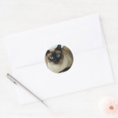 Mooie Siamese kat foto Classic Round Sticker (Envelop)