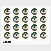 Mooie Siamese kat foto Classic Round Sticker (Vel)