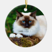 Mooie Siamese kat-fotokeramische versiering Keramisch Ornament (Voorkant)
