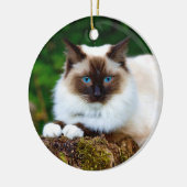 Mooie Siamese kat-fotokeramische versiering Keramisch Ornament (Links)