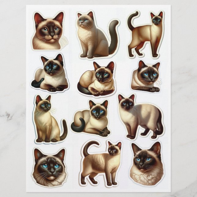 Mooie Siamese Kat Illustraties Hoofden & Lichamen (Voorkant)