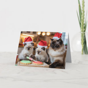 Mooie Siamese Kat Kerst Koekje Kaart