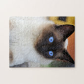 Mooie Siamese kat kitten Legpuzzel (Horizontaal)