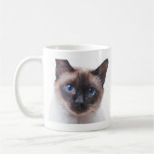 Mooie Siamese kat Koffiemok (Links)