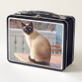 Mooie Siamese kat met blauwe ogen (Voorkant)