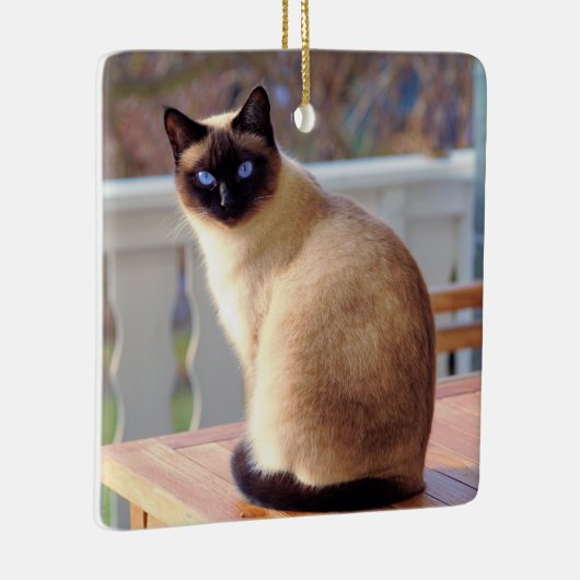 Mooie Siamese kat met blauwe ogen Keramisch Ornament (Rechts)