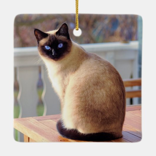 Mooie Siamese kat met blauwe ogen Keramisch Ornament (Achterkant)