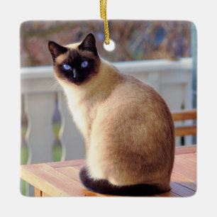 Mooie Siamese kat met blauwe ogen Keramisch Ornament