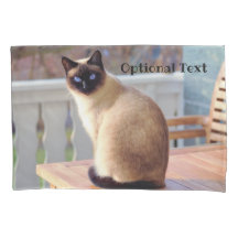 Mooie Siamese kat met blauwe ogen