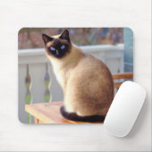 Mooie Siamese kat met blauwe ogen Muismat (Met muis)