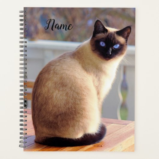 Mooie Siamese kat met blauwe ogen Planner (Voorkant)