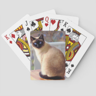 Mooie Siamese kat met blauwe ogen Pokerkaarten