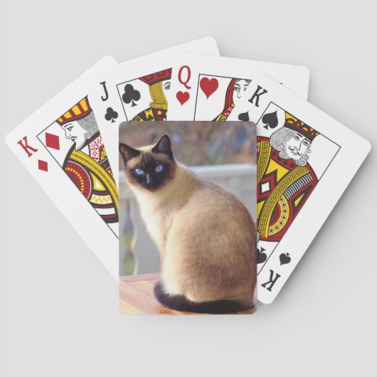 Mooie Siamese kat met blauwe ogen Pokerkaarten (Achterkant)