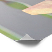 Mooie Siamese kat met blauwe ogen Poster (Hoek)