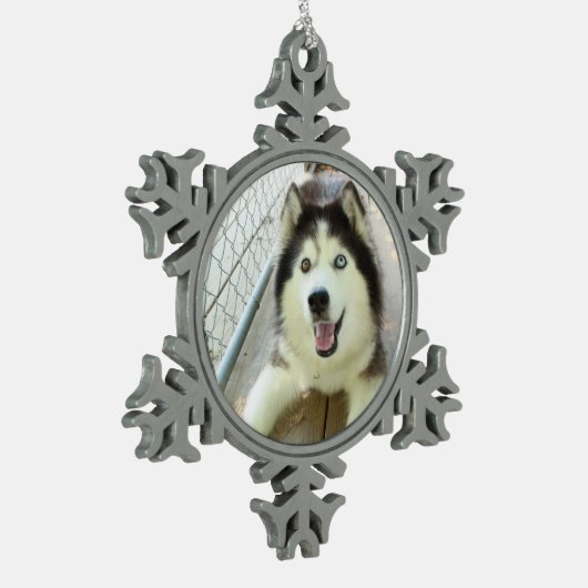 Mooie Siberian Husky Ornament (Links)