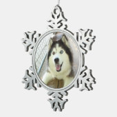 Mooie Siberian Husky Ornament (Rechts)